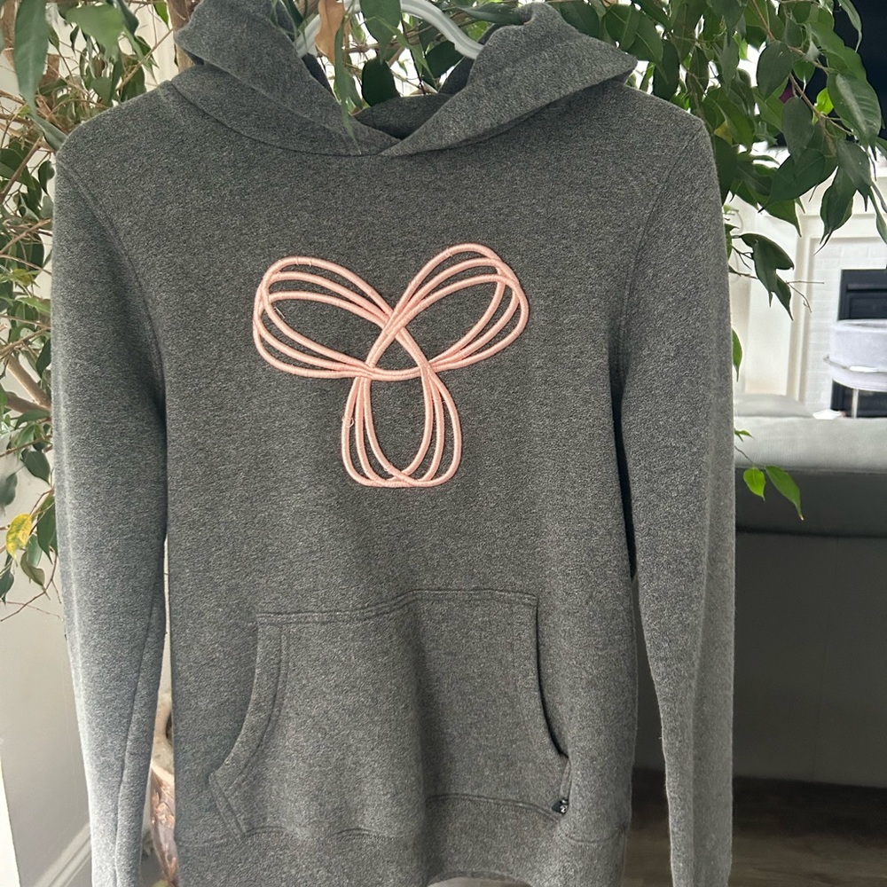 Aritzia TNA Hoodie